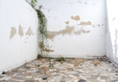 Terreno en venta en Loja ref: TR199262 foto
