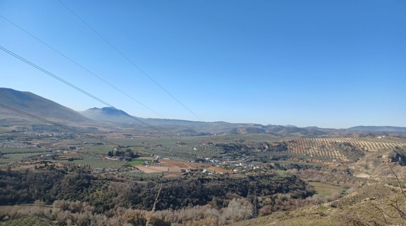 Granada - Loja - 31469m2