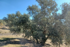 Foto 18