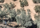 Земля на продажу у города Huétor Tájar. Фото