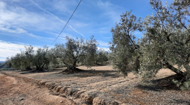Granada - Estación de Huétor Tájar - 64000m2