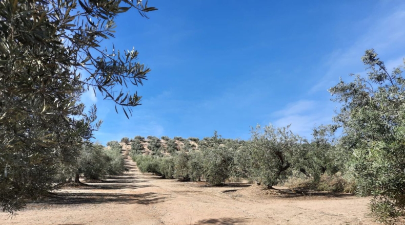 Granada - Estación de Huétor Tájar - 64000m2