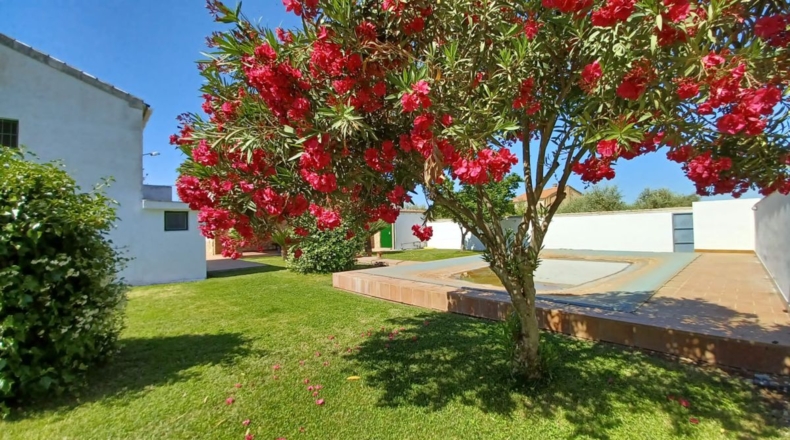 Granada - Loreto - 40000m2