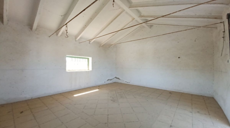 Granada - Loreto - 40000m2