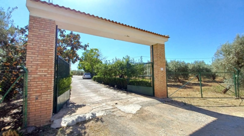 Granada - Loreto - 40000m2