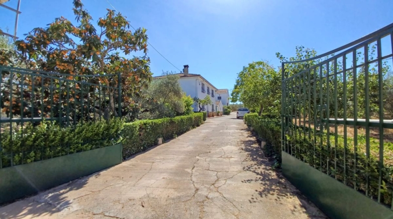 Granada - Loreto - 40000m2