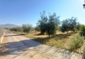 Casa de camp amb terreny en venda a Moraleda de Zafayona ref.: TR58403 foto