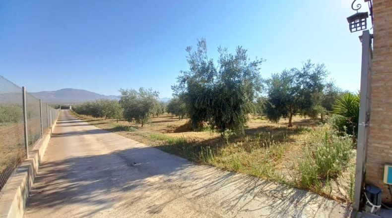 Granada - Loreto - 16000m2