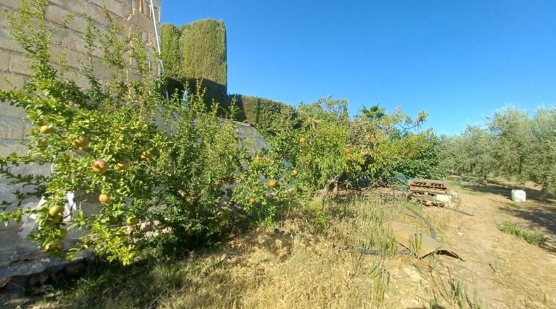Granada - Loreto - 16000m2