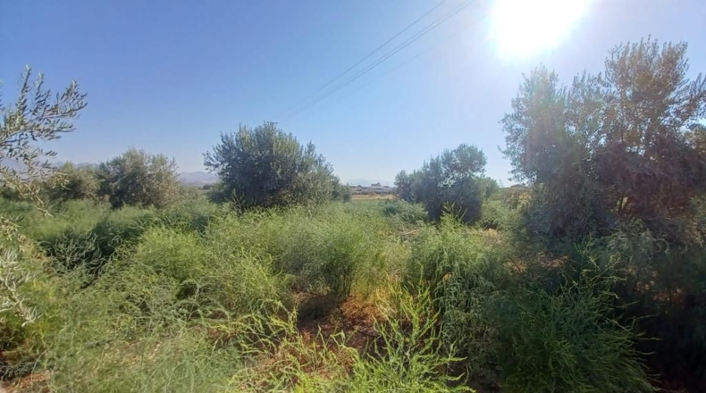 Granada - Loreto - 16000m2