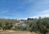 Terreno no urbanizable en venta en Loja ref: TR92962 foto