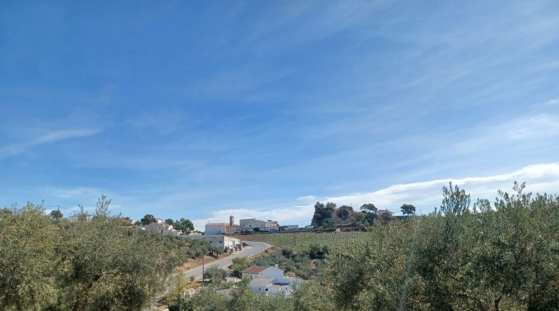Granada - Ventorros de San José - 11498m2