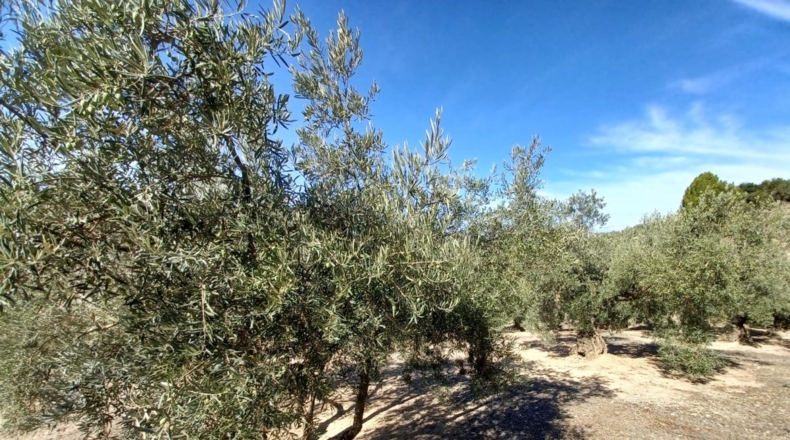 Granada - Ventorros de San José - 11498m2