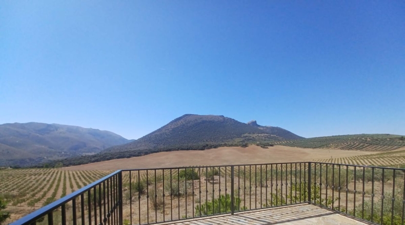 Granada - Fuente Camacho - 371m2