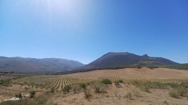 Granada - Fuente Camacho - 371m2