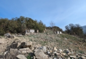 Masía con terreno en venta en Loja ref: TR274406 foto