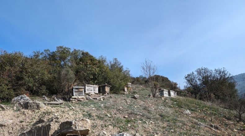 Granada - Loja - 70307m2