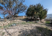 Masía con terreno en venta en Loja ref: TR274406 foto