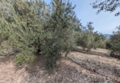Masía con terreno en venta en Loja ref: TR274406 foto