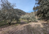 Masía con terreno en venta en Loja ref: TR274406 foto