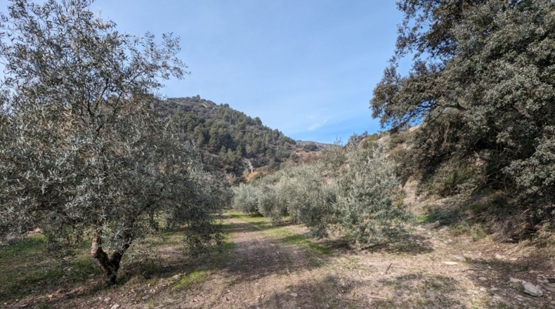 Granada - Loja - 70307m2