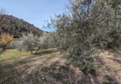 Masía con terreno en venta en Loja ref: TR274406 foto