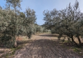 Masía con terreno en venta en Loja ref: TR274406 foto