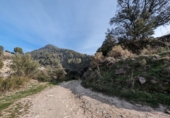 Masía con terreno en venta en Loja ref: TR274406 foto