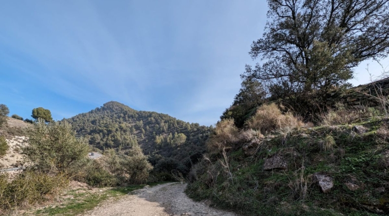 Granada - Loja - 70307m2