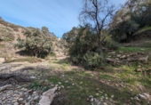 Masía con terreno en venta en Loja ref: TR274406 foto