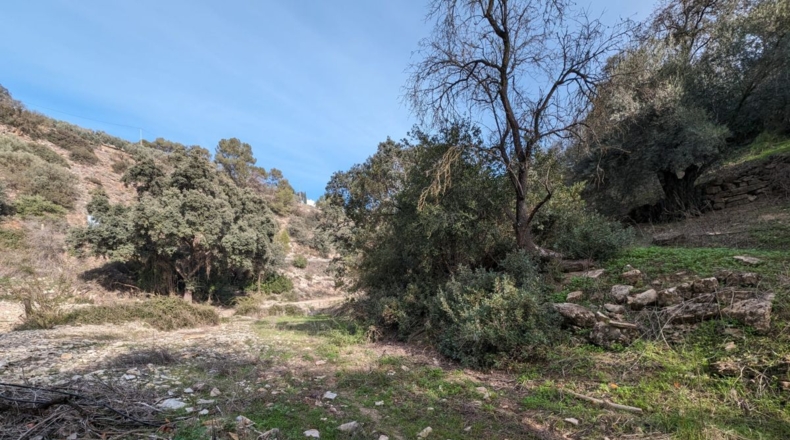 Granada - Loja - 70307m2
