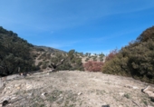 Masía con terreno en venta en Loja ref: TR274406 foto
