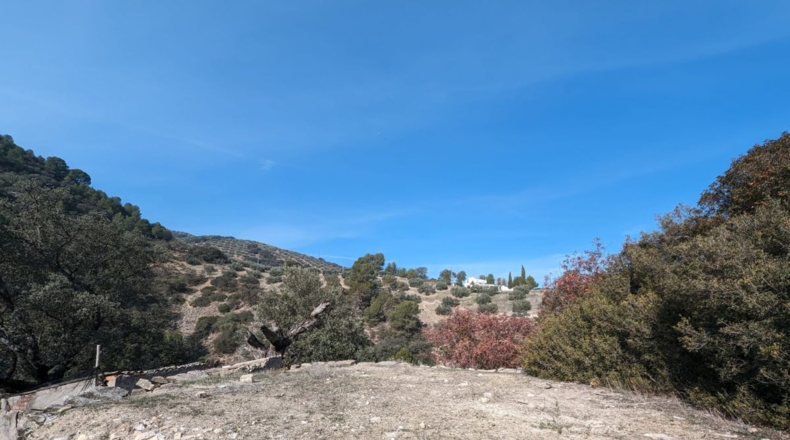 Granada - Loja - 70307m2