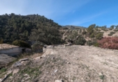 Masía con terreno en venta en Loja ref: TR274406 foto