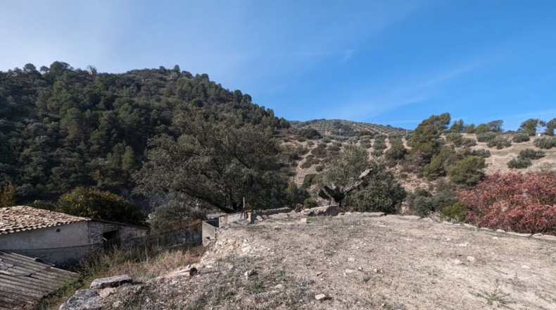 Granada - Loja - 70307m2