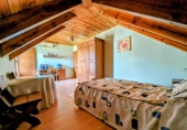 Chalet independiente con terreno en venta en Loja ref: TR101924 foto