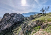 Non-developable land for sale in Loja ref: TR103968 photo