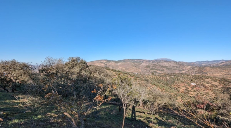 Granada - Zagra - 10414m2