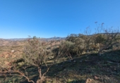 Terreno no urbanizable en venta en Santa Fe ref: TR105287 foto