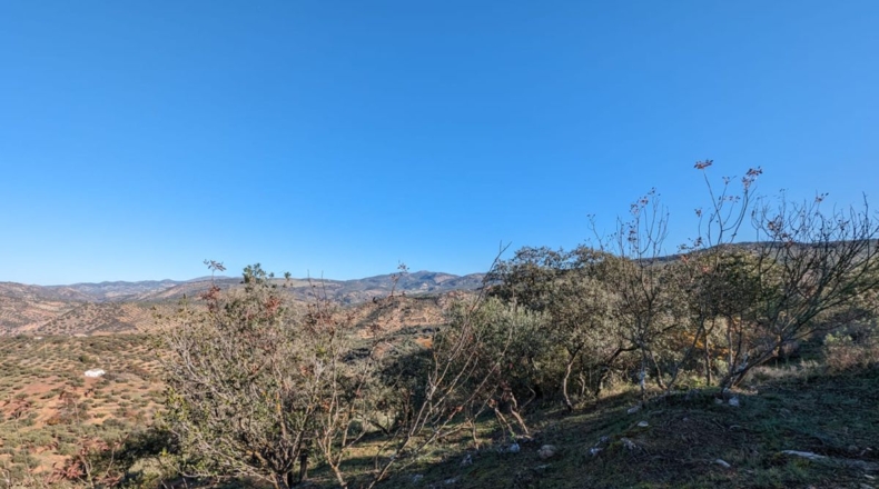 Granada - Zagra - 10414m2