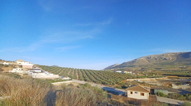 Cordova - Ventorros de Balerma - 350m2