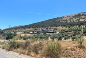 Foto 16