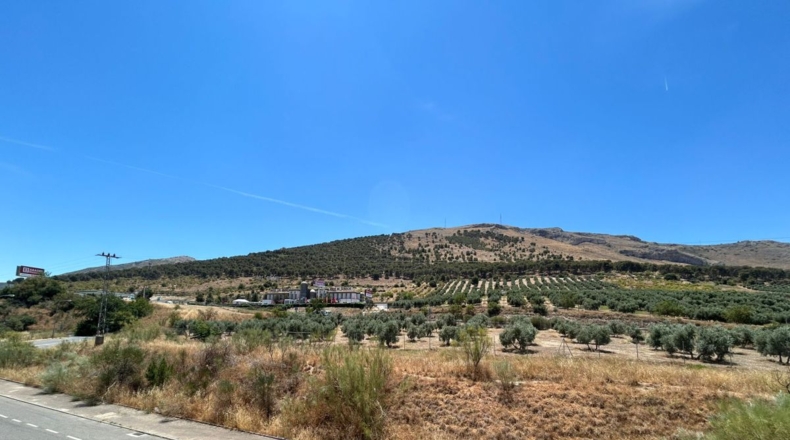 Granada - Plines - 600m2