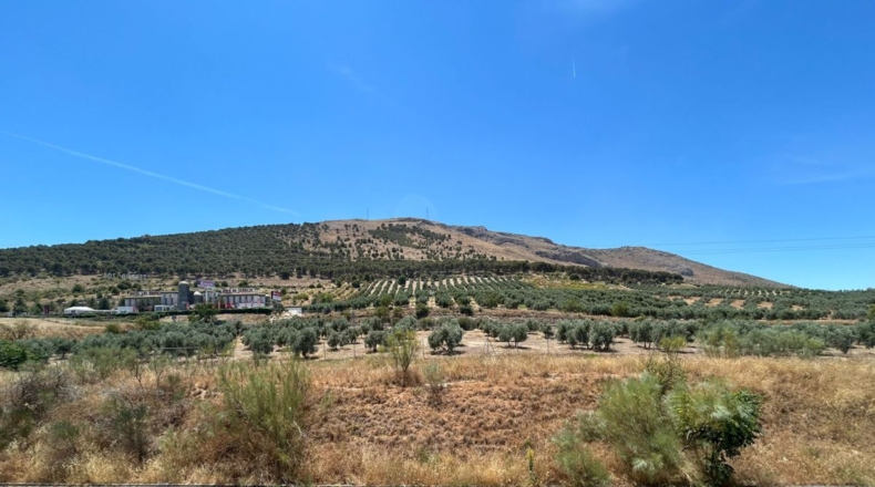 Granada - Plines - 600m2