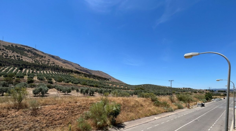 Granada - Plines - 600m2