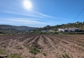 Non-developable land for sale in Loja ref: TR254304 photo