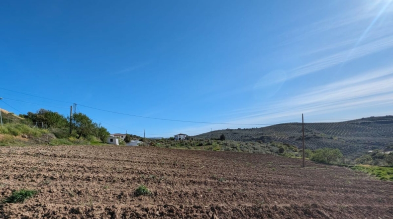 Granada - Loja - 6938m2