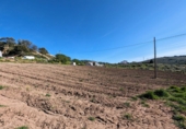 Non-developable land for sale in Loja ref: TR254304 photo