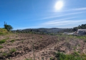 Non-developable land for sale in Loja ref: TR254304 photo