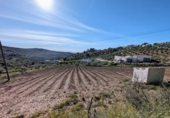 Non-developable land for sale in Loja ref: TR254304 photo